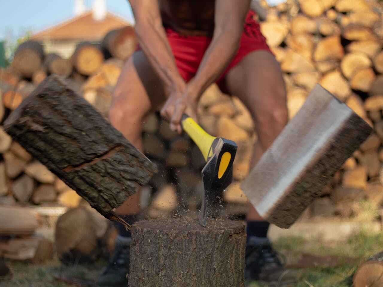 The Steps Involved in Our Tree Care Process in Newton, TX